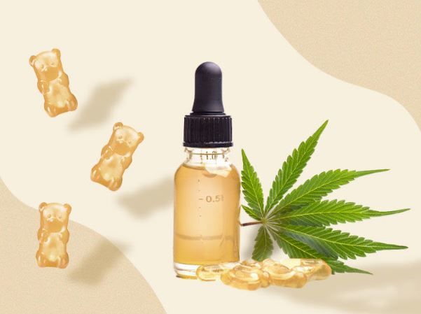 A Quick And Easy Guide To CBD Vape Pens For Stress And Anxiety - The ...