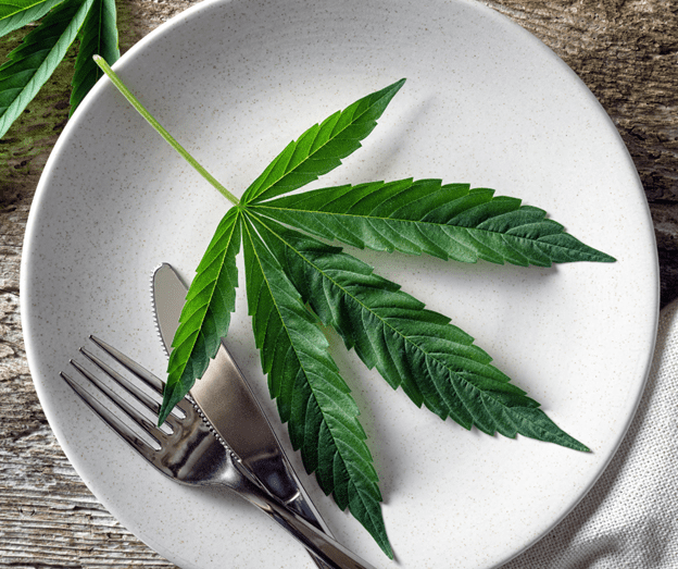 How Long Does It Take For an Edible to Kick In? - The Joint Blog